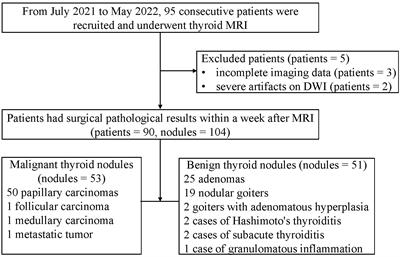 Comparative analysis of the image quality and diagnostic performance of the zooming technique with diffusion-weighted imaging using different b-values for thyroid papillary carcinomas and benign nodules